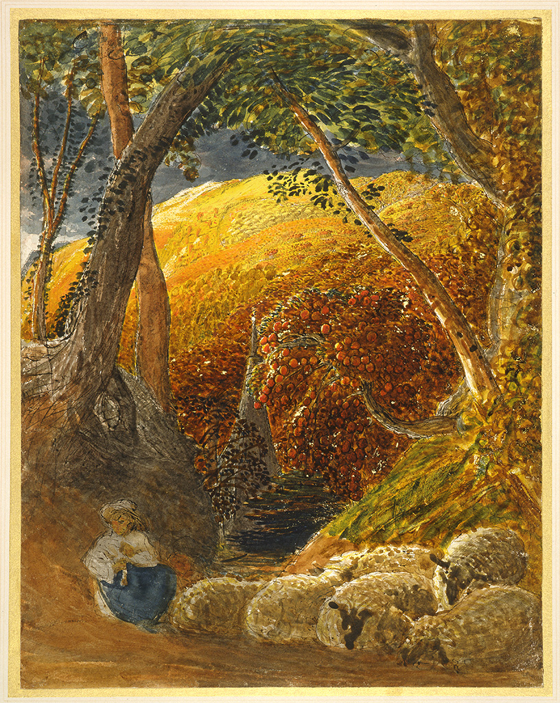 The Magic Apple Tree